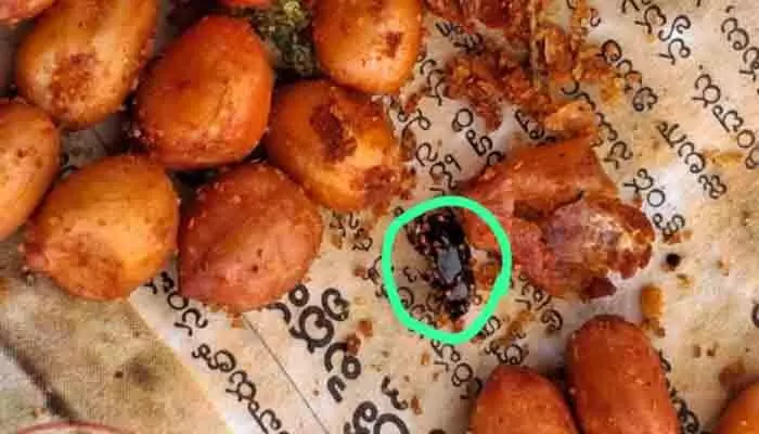 వేయించిన పల్లీల్లో బొద్దింక వేయించిన పల్లీల్లో బొద్దింక