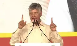 మళ్లీ 2028లో వస్తా.. ఉత్పత్తి ప్రారంభిస్తా: సీఎం చంద్రబాబు