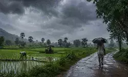 హైదరాబాద్ రెయిన్ అప్డేట్.. రానున్న రెండు గంటల్లో ఈ జిల్లాల్లో వర్షాలు హైదరాబాద్ రెయిన్ అప్డేట్.. రానున్న రెండు గంటల్లో ఈ జిల్లాల్లో వర్షాలు