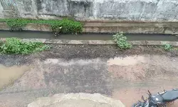 దిశ ఎఫెక్ట్.. మున్సిపల్ అధికారుల తక్షణ చర్య