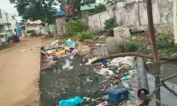 ఎల్లారెడ్డిలో జాడలేని ఫాగింగ్