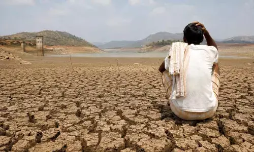 నెల గడుస్తున్నా జాడ లేని వానలు..