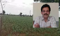 స్వల్పకాలిక పంటలతో లాభాలు: వ్యవసాయాధికారి సోమలింగారెడ్డి