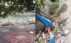 హస్తినాపురంలో పడకేసిన పారిశుధ్యం హస్తినాపురంలో పడకేసిన పారిశుధ్యం