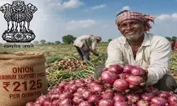 ఉల్లి రైతులకు కేంద్రం గుడ్ న్యూస్.. క్వింటాల్పై 13% ధర పెంపు ఉల్లి రైతులకు కేంద్రం గుడ్ న్యూస్.. క్వింటాల్పై 13% ధర పెంపు
