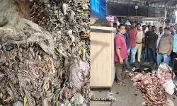 ఆహార కల్తీ పై ఉక్కుపాదం మోపుతున్న హెచ్ ఫాస్ట్ ఆహార కల్తీ పై ఉక్కుపాదం మోపుతున్న హెచ్ ఫాస్ట్