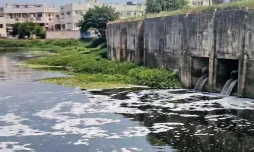 ఫార్మా కంపెనీల కొత్త ఎత్తుగడ..కాలుష్య జలాలకు సుందరీకరణ ముసుగు !