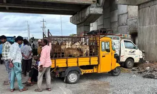 రోడ్డుపైనే మేకలు, గొర్రెల సంత.. అండర్ పాస్ కింద నిలిచిపోయిన ట్రాఫిక్
