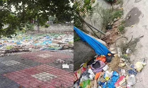 హస్తినాపురంలో పడకేసిన పారిశుధ్యం