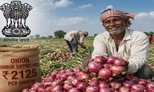 ఉల్లి రైతులకు కేంద్రం గుడ్ న్యూస్.. క్వింటాల్‌పై 13% ధర పెంపు
