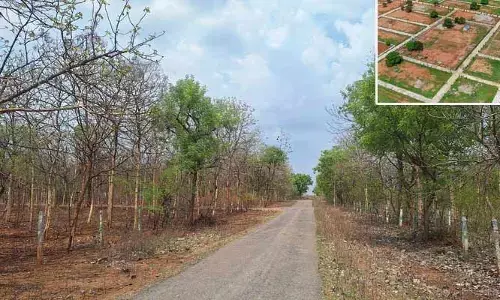 శివారు వెంచర్ల మధ్య వైవిధ్యం.. అక్కడో రేటు.. ఇక్కడో రేటు!