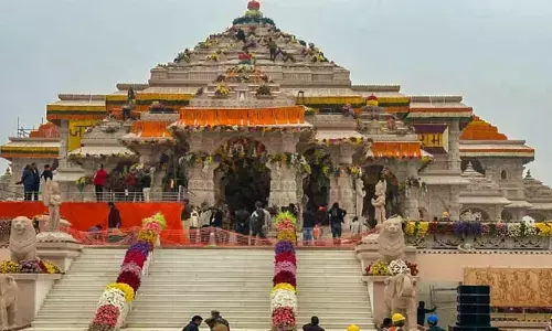 హిందూ వ్యతిరేకులకు మంచి మేత దొరికినట్లేనా?