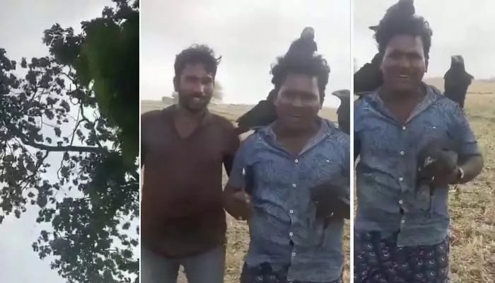 కాకులు తిని ఎంజాయ్ చేయండి.. వ్యక్తి వీడియో వైరల్ కాకులు తిని ఎంజాయ్ చేయండి.. వ్యక్తి వీడియో వైరల్