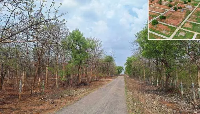 శివారు వెంచర్ల మధ్య వైవిధ్యం.. అక్కడో రేటు.. ఇక్కడో రేటు! శివారు వెంచర్ల మధ్య వైవిధ్యం.. అక్కడో రేటు.. ఇక్కడో రేటు!