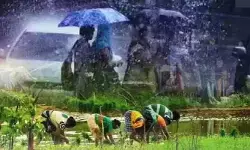 వర్షాలతో రైతుల్లో ఫుల్ జోష్..