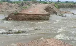 పెద్దగడ్డ వాగు ఉధృతి .. 20 గ్రామాలకు రాకపోకల బంద్ పెద్దగడ్డ వాగు ఉధృతి .. 20 గ్రామాలకు రాకపోకల బంద్