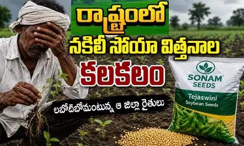 రాష్ట్రంలో నకిలీ సోయా విత్తనాల కలకలం.. లబోదిబోమంటున్న ఆ జిల్లా రైతులు