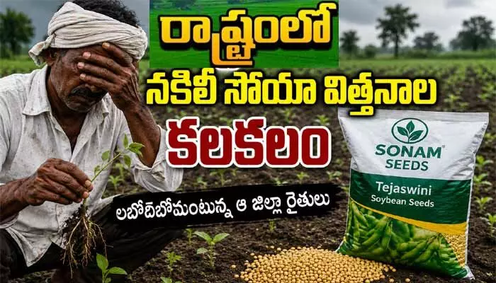 రాష్ట్రంలో నకిలీ సోయా విత్తనాల కలకలం.. లబోదిబోమంటున్న ఆ జిల్లా రైతులు రాష్ట్రంలో నకిలీ సోయా విత్తనాల కలకలం.. లబోదిబోమంటున్న ఆ జిల్లా రైతులు