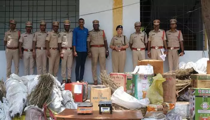గంజాయి సాగు పై పోలీస్ శాఖ నజర్..! గంజాయి సాగు పై పోలీస్ శాఖ నజర్..!