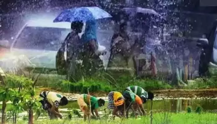 వర్షాలతో రైతుల్లో ఫుల్ జోష్.. వర్షాలతో రైతుల్లో ఫుల్ జోష్..