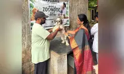 ప్రతి పెంపుడు కుక్కకు రేబిస్ టీకా వేయించాలి