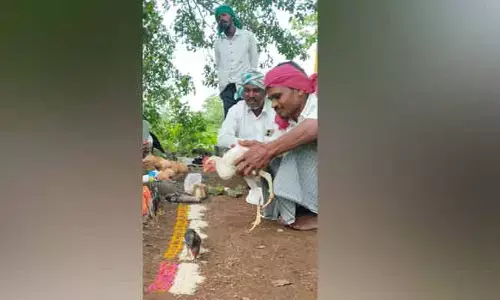 ఏజెన్సీలో అకాడి సందడి