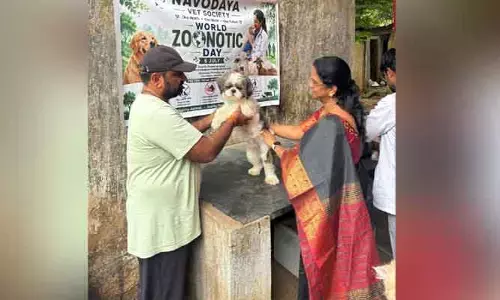 ప్రతి పెంపుడు కుక్కకు రేబిస్ టీకా వేయించాలి