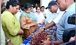 ఆయిల్ పామ్ సాగు అన్ని విధాలుగా శ్రేయస్కరం : ఆదర్శ రైతులు ఆయిల్ పామ్ సాగు అన్ని విధాలుగా శ్రేయస్కరం : ఆదర్శ రైతులు