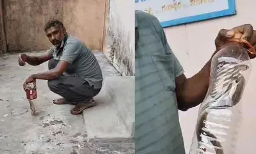 రంగారావుపల్లి గ్రామ పంచాయతీ కార్యాలయంలో నాగుపాము కలకలం