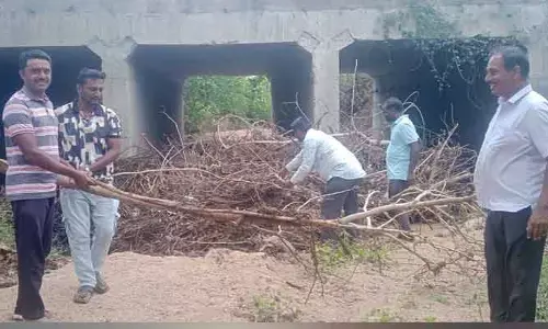 చెట్టుకొమ్మలను తొలగించిన గ్రామ కమిటీ నాయకులు