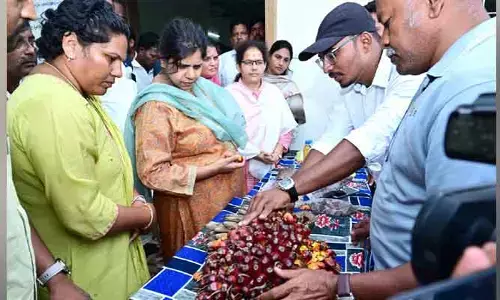 ఆయిల్ పామ్ సాగు అన్ని విధాలుగా శ్రేయస్కరం : ఆదర్శ రైతులు