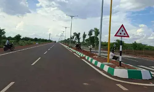 నిమ్జ్ రోడ్డుకు గ్రీన్ జోన్ ఫేక్..!