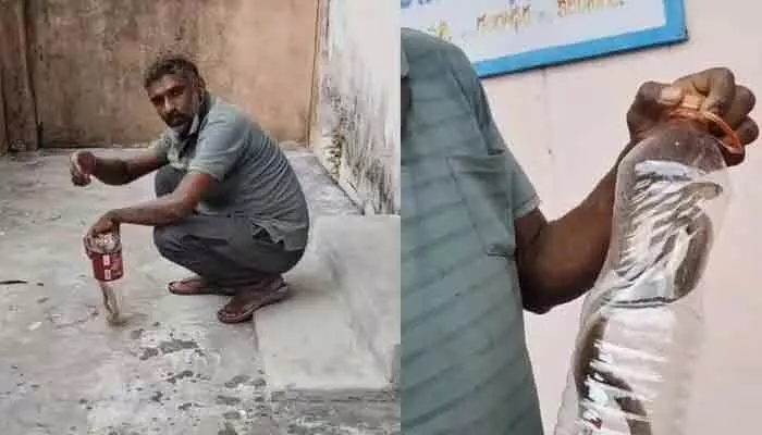 రంగారావుపల్లి గ్రామ పంచాయతీ కార్యాలయంలో నాగుపాము కలకలం రంగారావుపల్లి గ్రామ పంచాయతీ కార్యాలయంలో నాగుపాము కలకలం