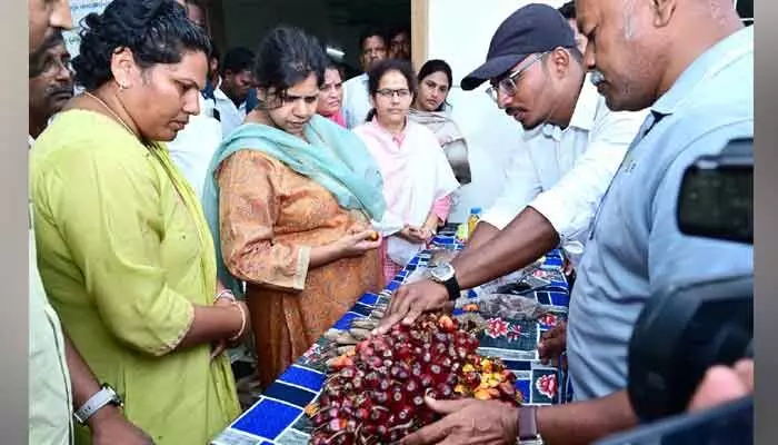 ఆయిల్ పామ్ సాగు అన్ని విధాలుగా శ్రేయస్కరం : ఆదర్శ రైతులు ఆయిల్ పామ్ సాగు అన్ని విధాలుగా శ్రేయస్కరం : ఆదర్శ రైతులు