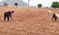 ముందుకుసాగని సాగు..! ముందుకుసాగని సాగు..!