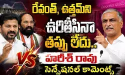 రేవంత్, ఉత్తమ్‌ని ఉరితీసినా తప్పు లేదు.. మాజీ మంత్రి హరీశ్ రావు సెన్సేషనల్ కామెంట్స్