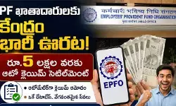 పీఎఫ్ ఖాతాదారులకు కేంద్రం తీపికబురు: రూ.5 లక్షల వరకు ‘ఆటో క్లెయిమ్’