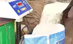 గొల్లపాడు రేషన్ షాపులో ఆకస్మిక తనిఖీలు