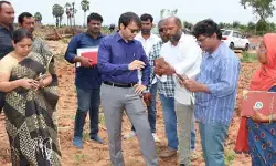 సీతారామ డిస్ట్రిబ్యూటరీ కెనాల్ భూసేకరణ పనులను పరిశీలించిన కలెక్టర్ సీతారామ డిస్ట్రిబ్యూటరీ కెనాల్ భూసేకరణ పనులను పరిశీలించిన కలెక్టర్