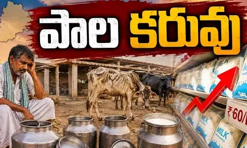 రాష్ట్రంలో పడిపోయిన పాల ఉత్పత్తి.. పట్టించుకోని పశుసంవర్ధక శాఖ
