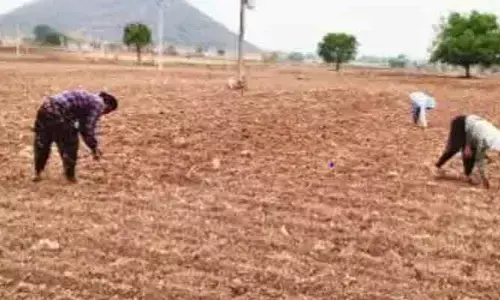 ముందుకుసాగని సాగు..!