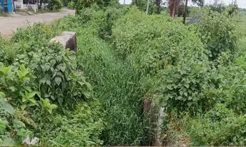 ఎమ్మెల్యే ఆదేశాలు బేఖాతర్.. ఐదు రోజులైనా ప్రారంభంకాని పూడికతీత పనులు