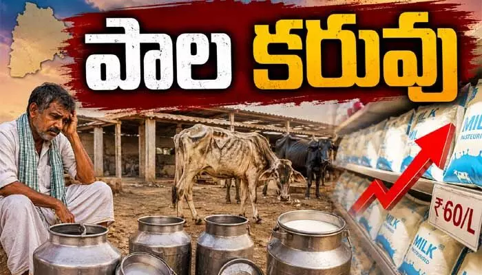 రాష్ట్రంలో పడిపోయిన పాల ఉత్పత్తి.. పట్టించుకోని పశుసంవర్ధక శాఖ రాష్ట్రంలో పడిపోయిన పాల ఉత్పత్తి.. పట్టించుకోని పశుసంవర్ధక శాఖ