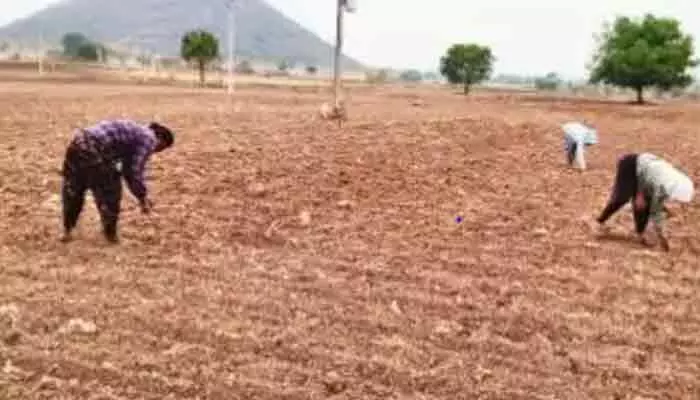 ముందుకుసాగని సాగు..! ముందుకుసాగని సాగు..!