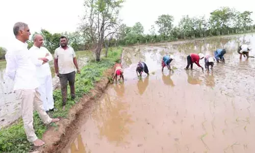 మహారాష్ట్ర మహిళా కూలీలతో ముచ్చటించిన హరీష్ రావు...