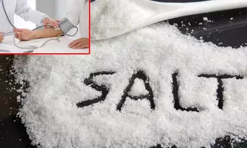 Health : ఉప్పు మాత్రమే అధిక రక్తపోటుకు కారణమా?