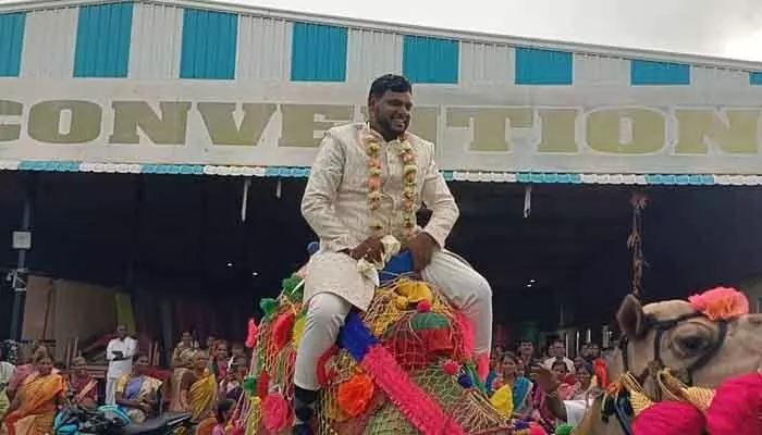 ఒంటెపై పెళ్లికొడుకు.. సోషల్ మీడియాలో వీడియో వైరల్ ఒంటెపై పెళ్లికొడుకు.. సోషల్ మీడియాలో వీడియో వైరల్
