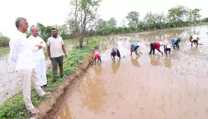 మహారాష్ట్ర మహిళా కూలీలతో ముచ్చటించిన హరీష్ రావు... మహారాష్ట్ర మహిళా కూలీలతో ముచ్చటించిన హరీష్ రావు...