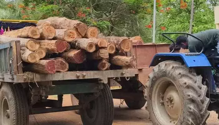 అక్రమ రవాణాపై అటవీ శాఖ దాడి అక్రమ రవాణాపై అటవీ శాఖ దాడి