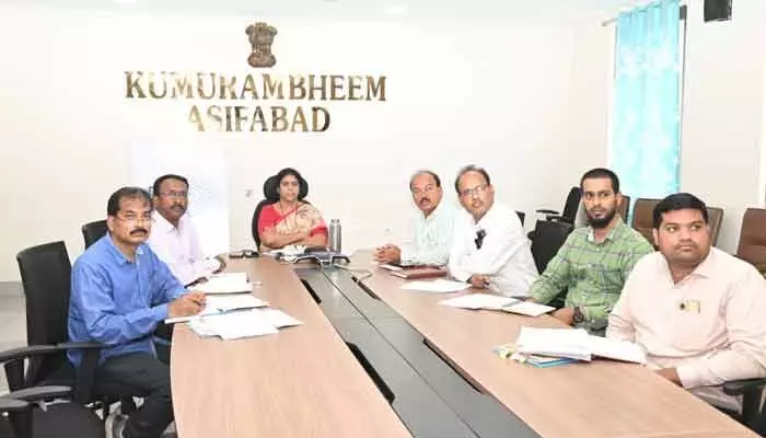 ప్రత్యామ్నాయ పంటల సాగును ప్రోత్సహించాలి : కలెక్టర్ హరిత ప్రత్యామ్నాయ పంటల సాగును ప్రోత్సహించాలి : కలెక్టర్ హరిత